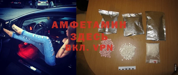 молекула духа Алексеевка