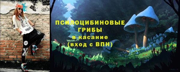 2c-b Алзамай