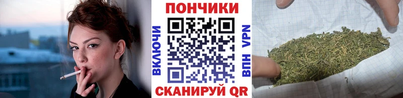 кракен как войти  Бокситогорск  Бошки Шишки THC 21%  где продают наркотики 